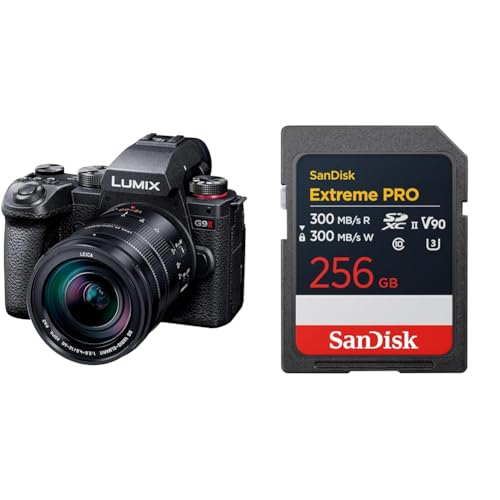 Panasonic LUMIX　２点セット Amazon | パナソニック(Panasonic) ミラーレス一眼カメラ ルミックス